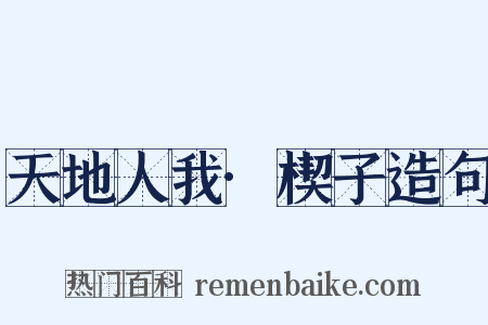 天地人我·楔子造句是什么意思的图片